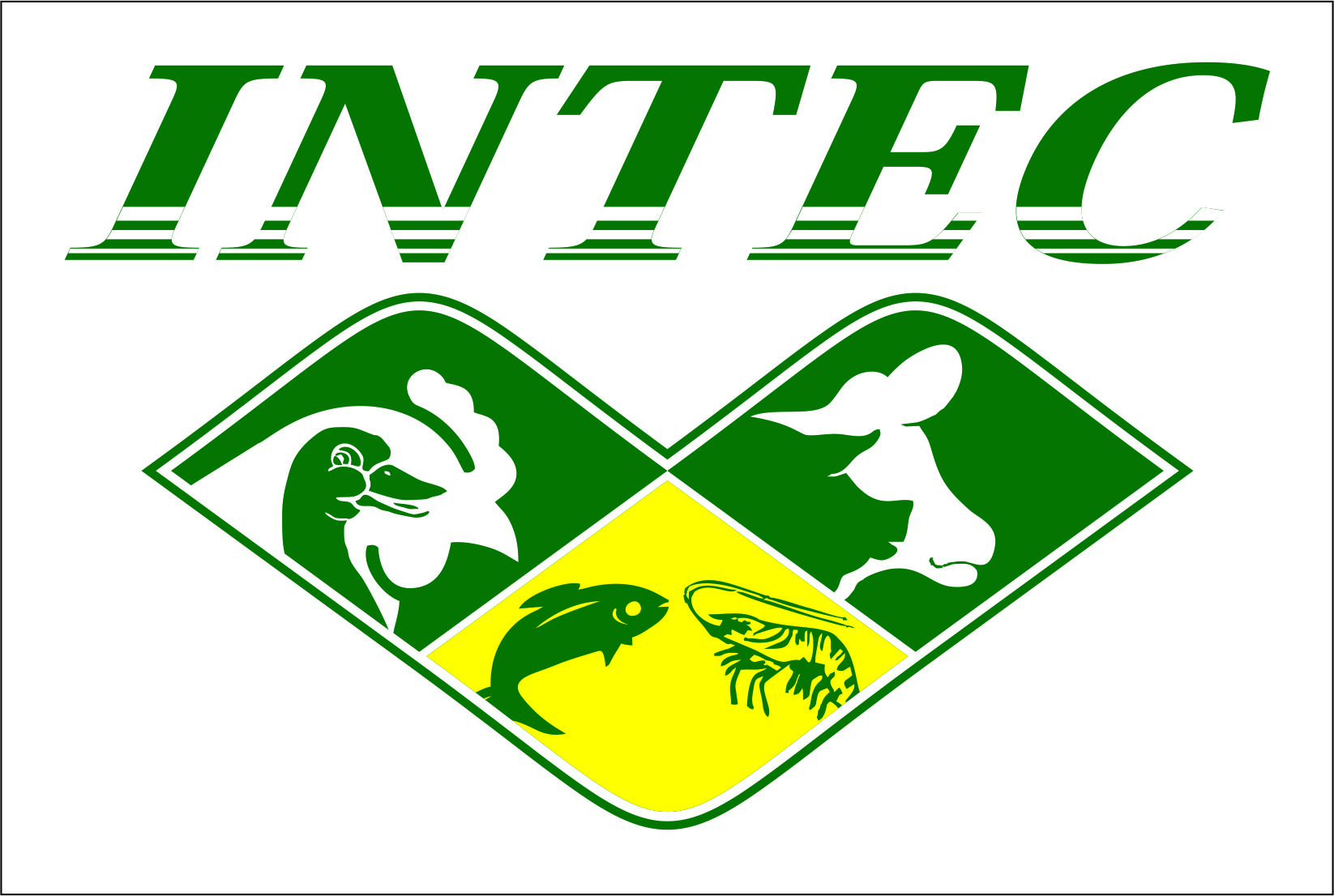 intec